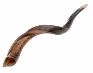 Yemenite Shofar